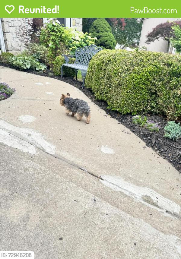 Reunited Unknown Dog last seen N 60th & Elmwood Ct, Kansas City, MO 64119