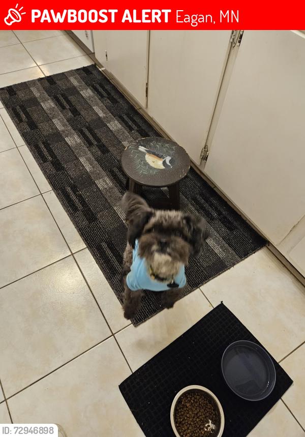 Lost Male Dog last seen Wood Lark Lane & Red Cedar Rd,  Eagan,  MN 55121, Eagan, MN 55121
