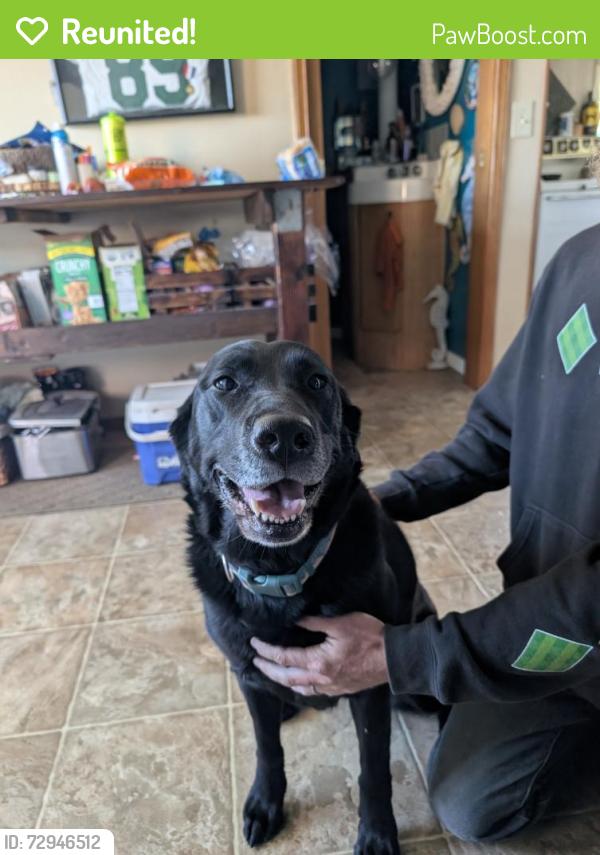 Reunited Female Dog last seen Near 8th and chambers, Port Angeles, WA 98362