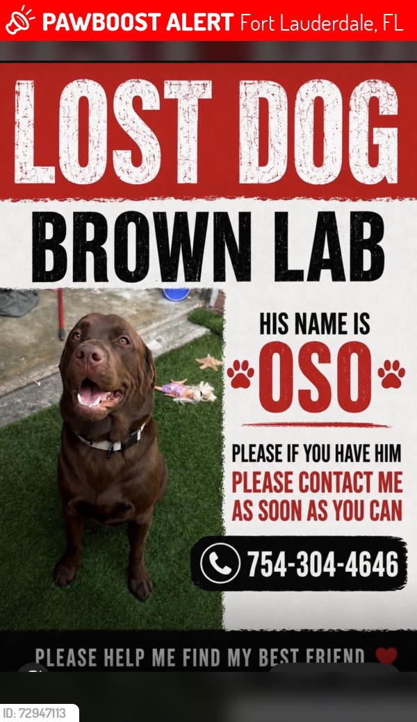Lost Male Dog last seen Near nw 11 th av , Fort Lauderdale, FL 33309