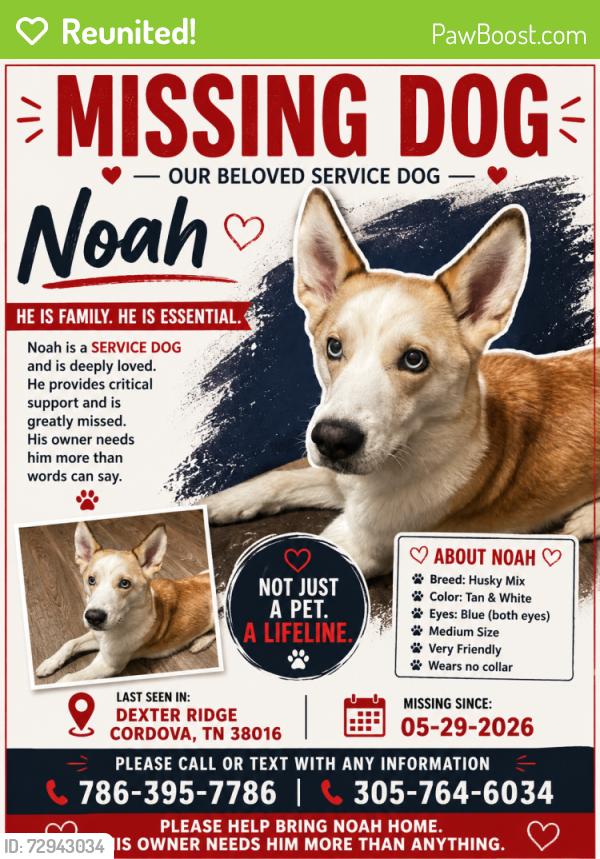 Reunited Male Dog last seen Dexter Ridge, Memphis, TN 38016