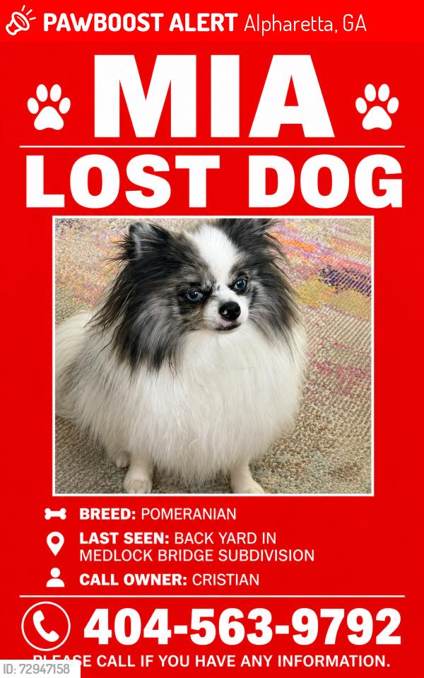 Lost Female Dog last seen Lake Manor Tr and Lake Medlock Dr, Alpharetta, GA 30022