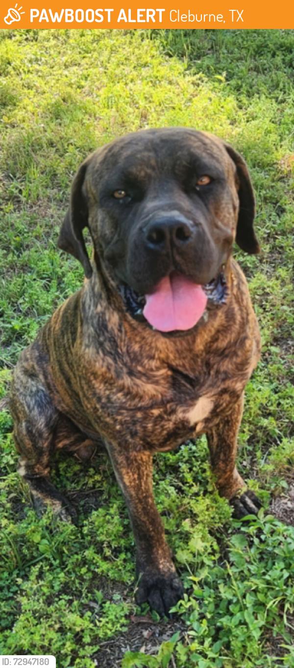 Found/Stray Male Dog last seen Woodard and 67, Cleburne, TX 76033