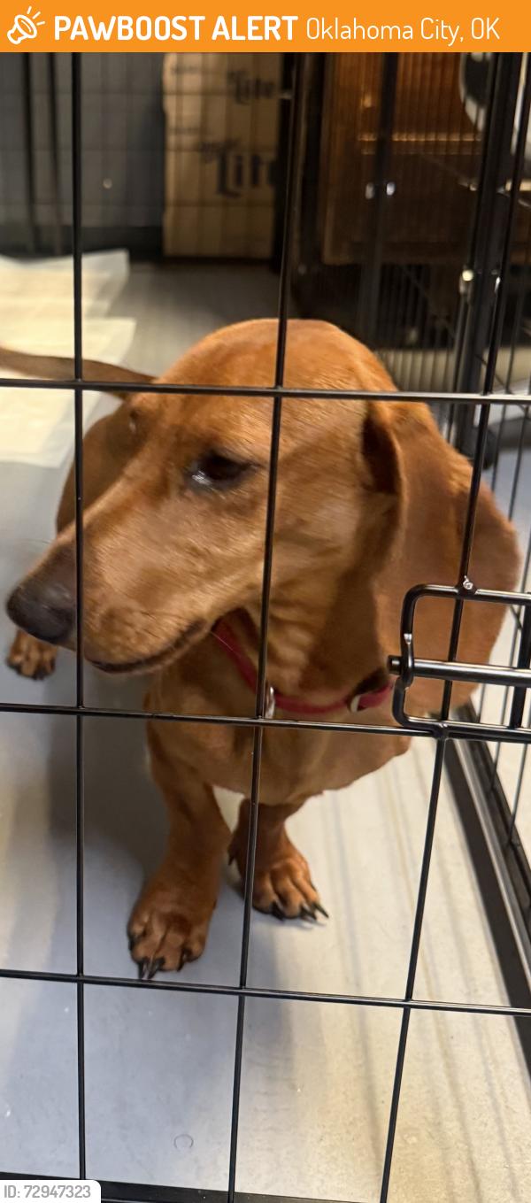 Found/Stray Male Dog last seen 59th, Oklahoma City, OK 73020