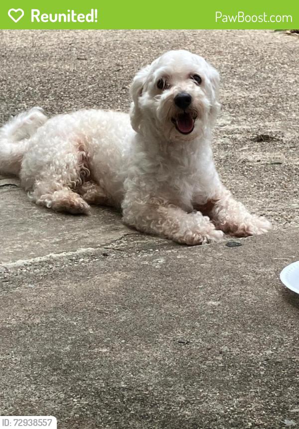 Reunited Male Dog last seen Isbella dr, Grand Prairie, TX 75052