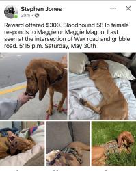 Reunited Female Dog last seen Wax road and gribble , Aragon, GA 30104