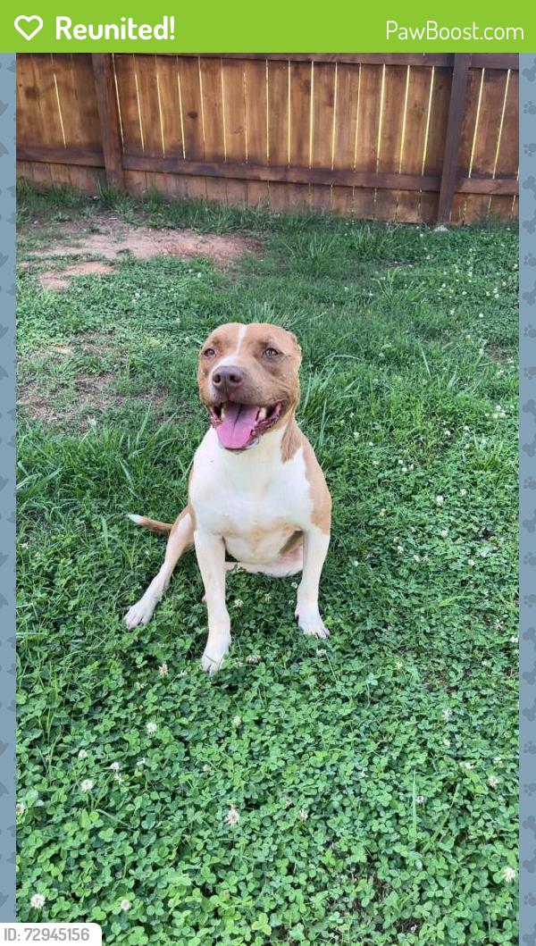 Reunited Female Dog last seen Arnold Road, Davidson County, NC 27295