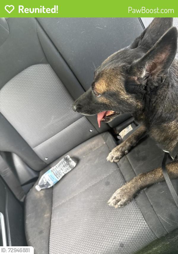 Reunited Female Dog last seen E Calhoun , Temple, TX 76501
