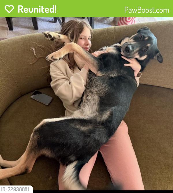 Reunited Male Dog last seen Pineview and 15th Avenue, Plymouth, MN 55441