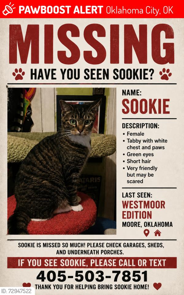 Lost Female Cat last seen 19th and s hudson, Oklahoma City, OK 73170