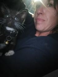 Lost Male Cat last seen S. Chester at the frosty king by the railroad tracks, Bakersfield, CA 93304