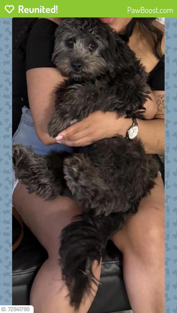 Reunited Male Dog last seen Near Evanston Dr , Hightstown, NJ 08520