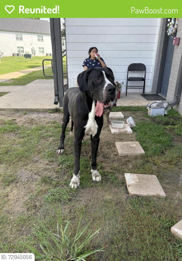 Reunited Male Dog last seen O’Neil , Baton Rouge, LA 70816