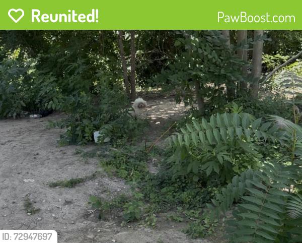 Reunited Unknown Dog last seen Forest Lane Station, Dallas, TX 75243