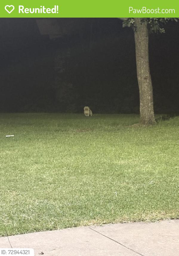Reunited Unknown Dog last seen Forest Lane Station, keeps going into the woods , Dallas, TX 75230