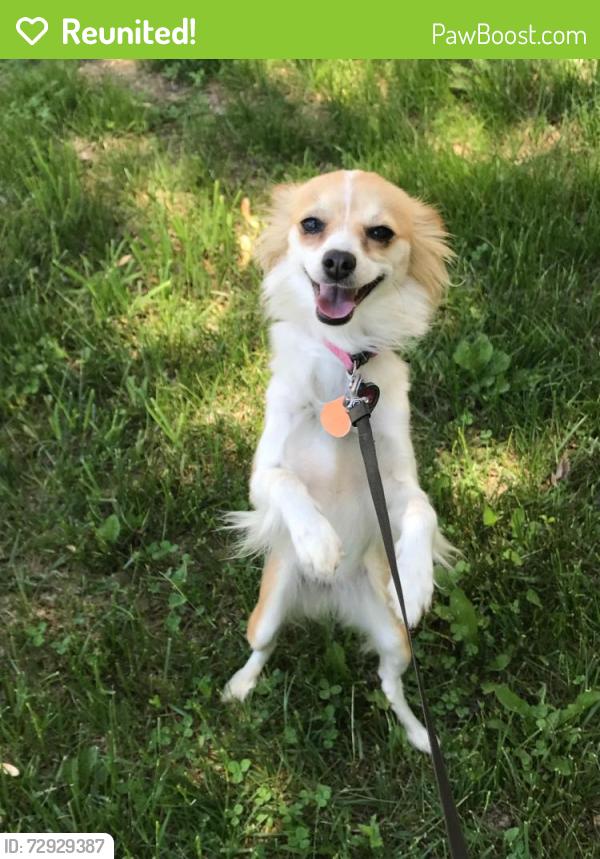 Reunited Female Dog last seen Barker and d12, Sioux City, IA 51108