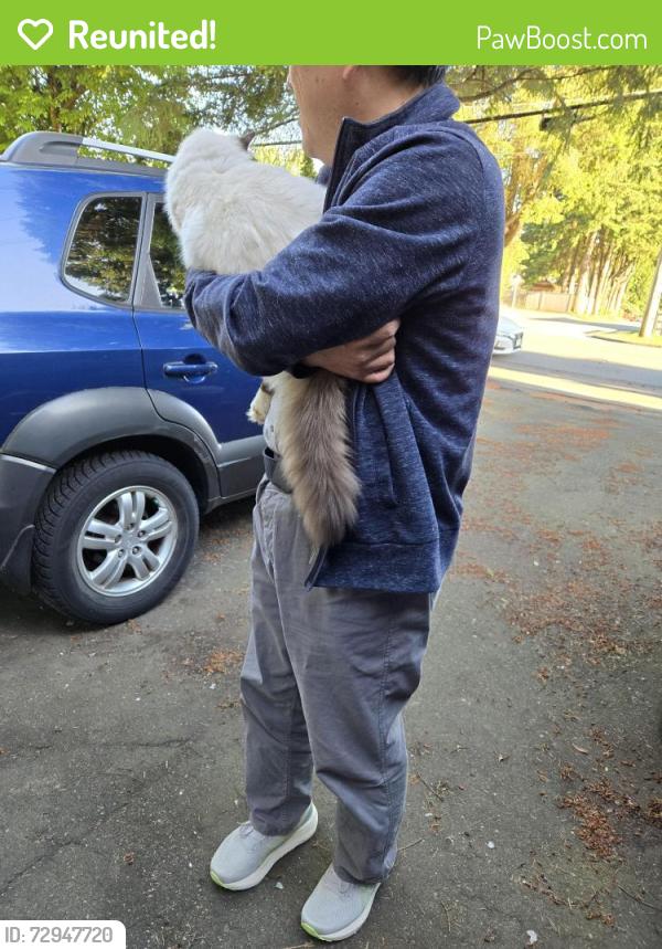 Reunited Unknown Cat last seen Curtis & Yorston , Burnaby, BC 