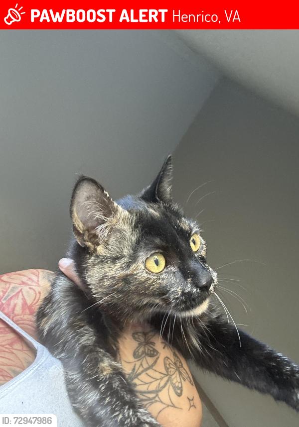 Lost Female Cat last seen Near hermitage Trace Cir, Henrico, VA 23228
