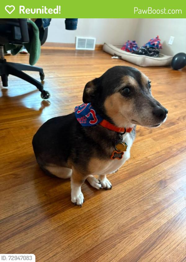 Reunited Female Dog last seen 26th & 229, Sioux Falls, SD 57105