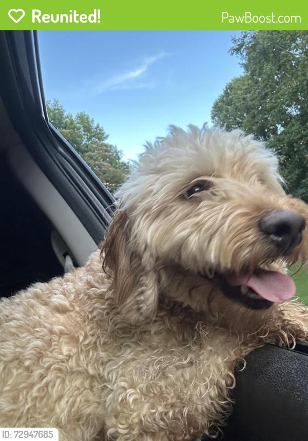 Reunited Male Dog last seen Nichols rd, Forsyth County, GA 30024