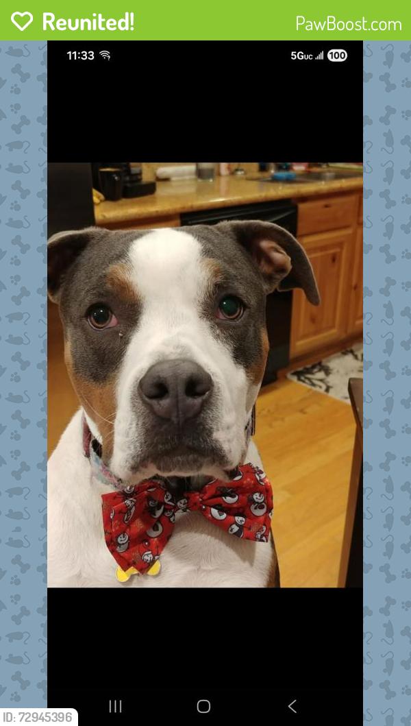 Reunited Male Dog last seen Near s redwood rd, Salt Lake City, UT 84123