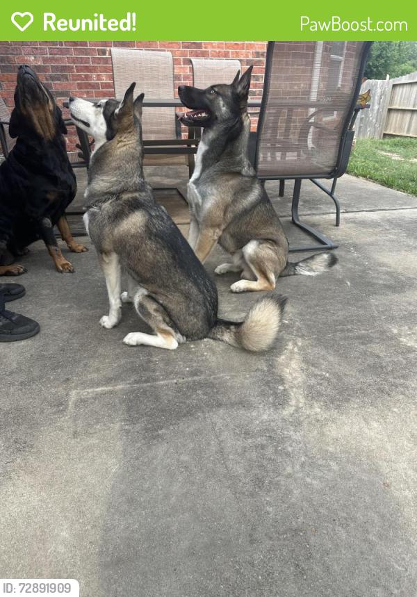 Reunited Male Dog last seen Eagle lake, Spring, TX 77379