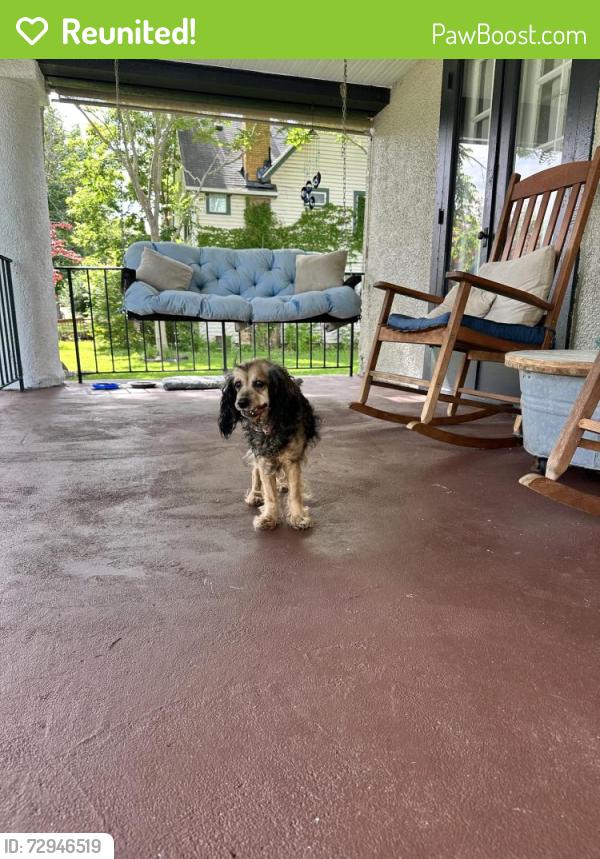 Reunited Female Dog last seen Kenwood and Bellvue, Dayton, OH 45406