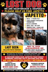 Lost Male Dog last seen Boots in the Park, Albuquerque, NM 87113