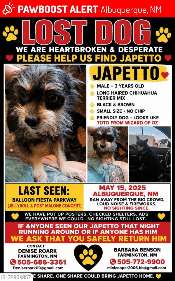 Lost Male Dog last seen Boots in the Park, Albuquerque, NM 87113