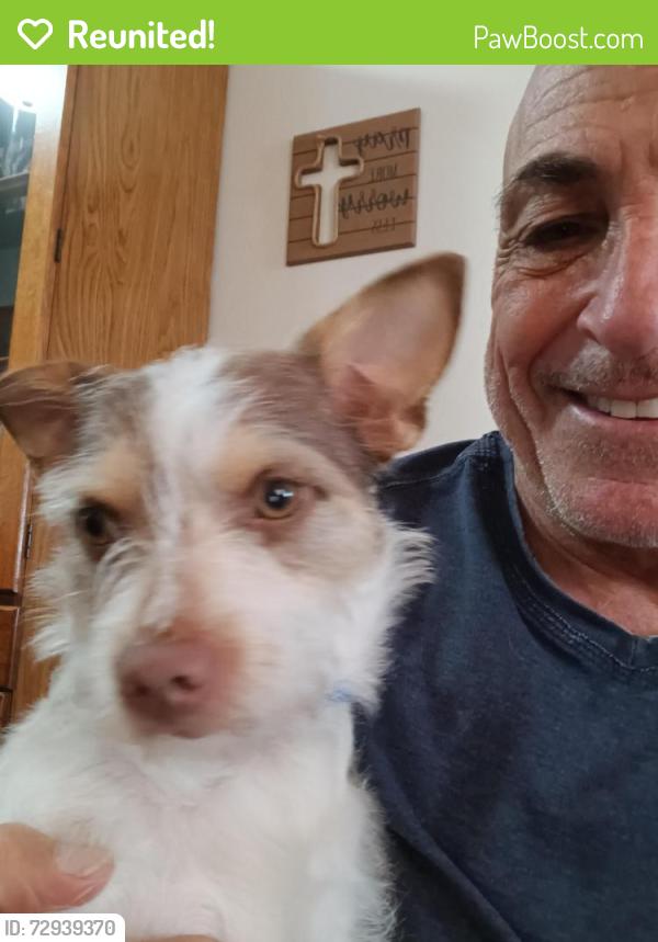 Reunited Male Dog last seen Near Alt Hwy, Chase High Rd behind the Drop-In., Forest City, NC 28043