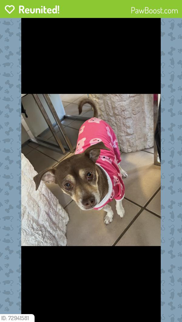 Reunited Female Dog last seen FM 66 Maypearl, TX, Maypearl, TX 76064