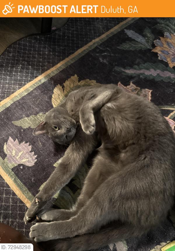 Found/Stray Unknown Cat last seen In Berkeley landing apmt complex, Duluth, GA 30096