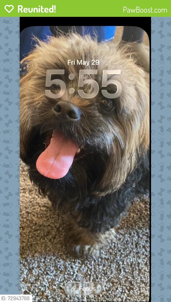 Reunited Male Dog last seen Near N 68th St, Milwaukee, WI 53216, USA, Milwaukee, WI 53216