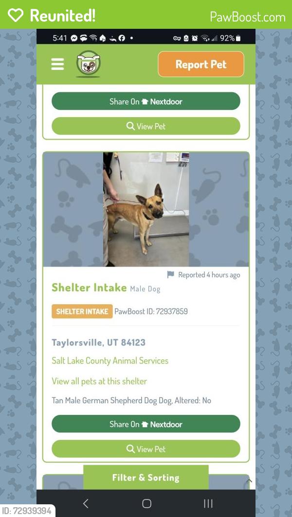 Reunited Female Dog last seen Near s. 75 w., Murray, UT 84107