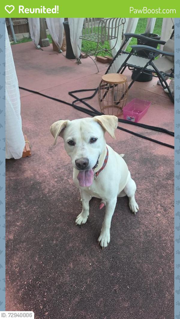 Reunited Male Dog last seen Near E McDermott Dr, Allen, TX 75002, Allen, TX 75002