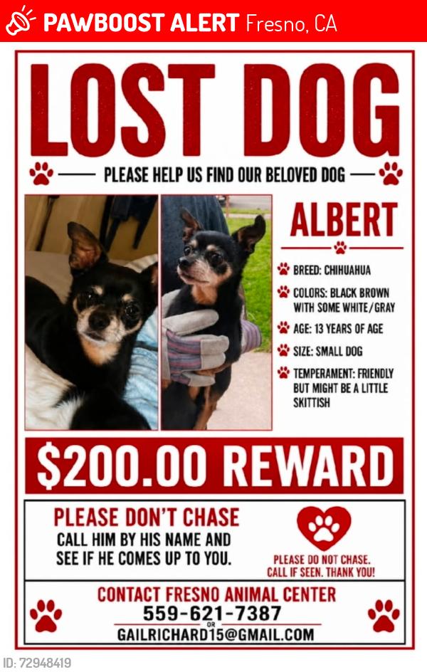Lost Male Dog last seen Shields and West intersection heading towards fruit, Fresno, CA 93705