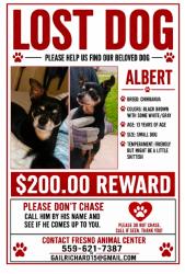 Lost Male Dog last seen Shields and West intersection heading towards fruit, Fresno, CA 93705
