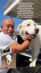Reunited Male Dog last seen Santa Fe & SW 59th, Walker and I-240, Oklahoma City, OK 73139