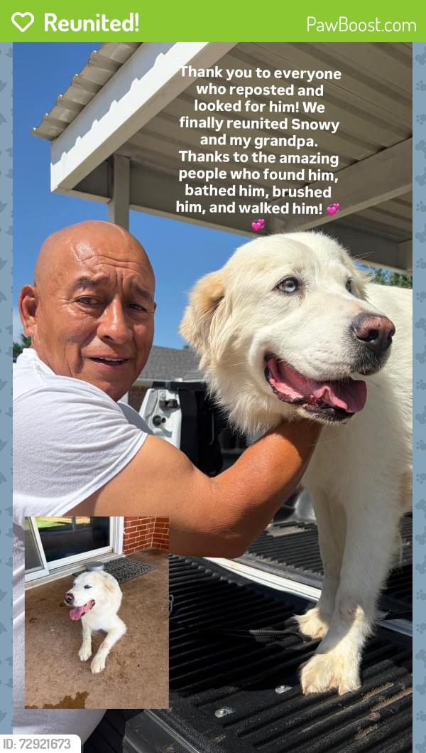 Reunited Male Dog last seen Santa Fe & SW 59th, Walker and I-240, Oklahoma City, OK 73139