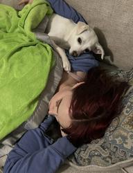 Reunited Female Dog last seen Farm and Decatur , North Las Vegas, NV 89084