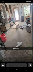 Lost Male Cat last seen Salem pond utah, Salem, UT 84653