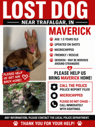 Lost Male Dog last seen Sobota Way, Trafalgar, IN 46181