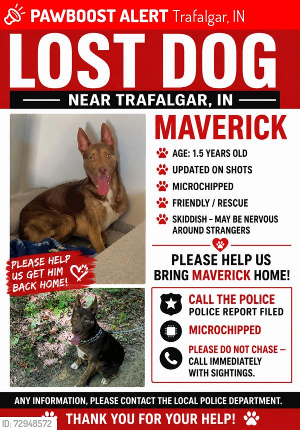 Lost Male Dog last seen Sobota Way, Trafalgar, IN 46181