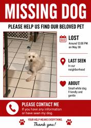 Reunited Male Dog last seen Near Malaga Ct, Palmdale, CA 93552, USA, Palmdale, CA 93552