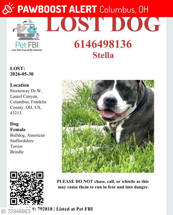 Lost Female Dog last seen Near Stornoway dr w, Columbus, OH 43213