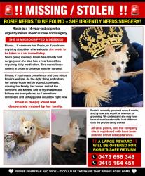 Lost Female Dog last seen Griffiths road, wanneroo, Wanneroo, WA 6065