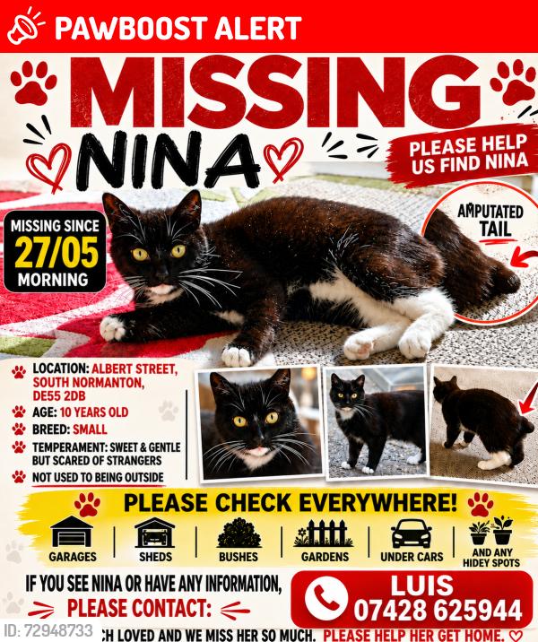 Lost Female Cat last seen Albert Street, South normanton, South Normanton, England DE55 2DB