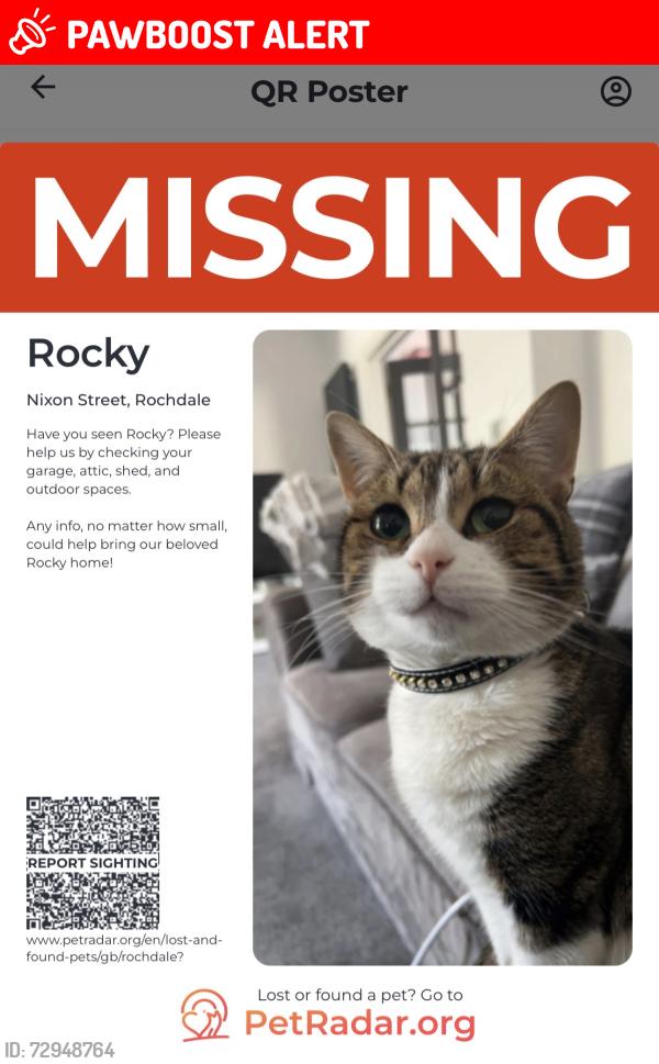 Lost Male Cat last seen Manchester road, Greater Manchester, England OL11