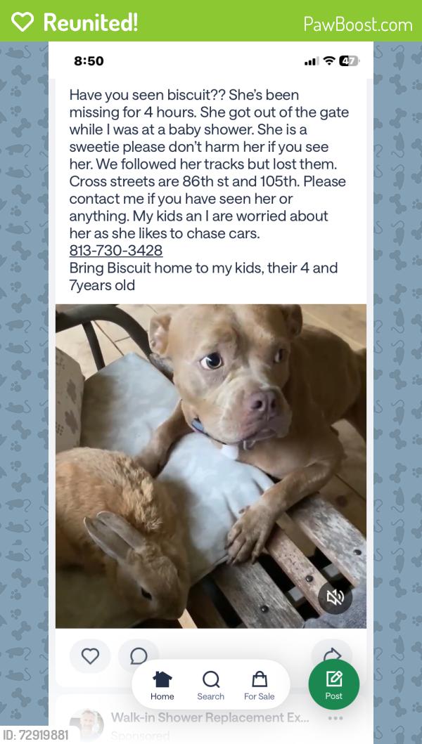 Reunited Female Dog last seen Ne86th st and 105th, Bronson, FL 32621