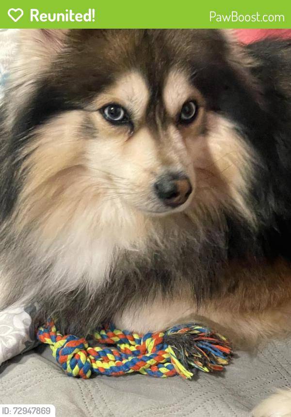 Reunited Male Dog last seen Beach 30th St, Queens, NY 11691, USA, Queens, NY 11691